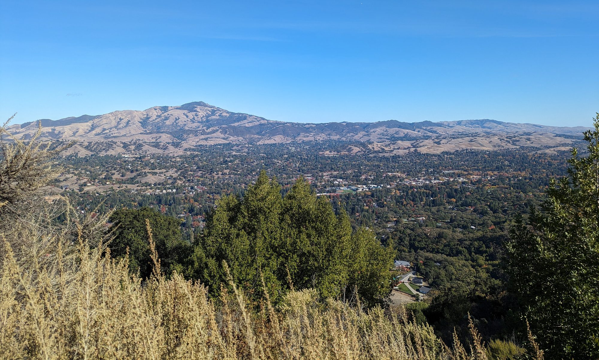 Mount Diablo rising above the tree-filled valley where Danville sits, seen from the hills to the west.
